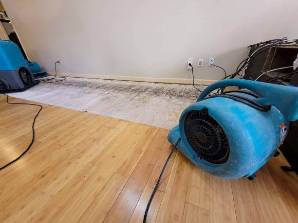 Professional Structural Drying technician working in Los Altos, CA